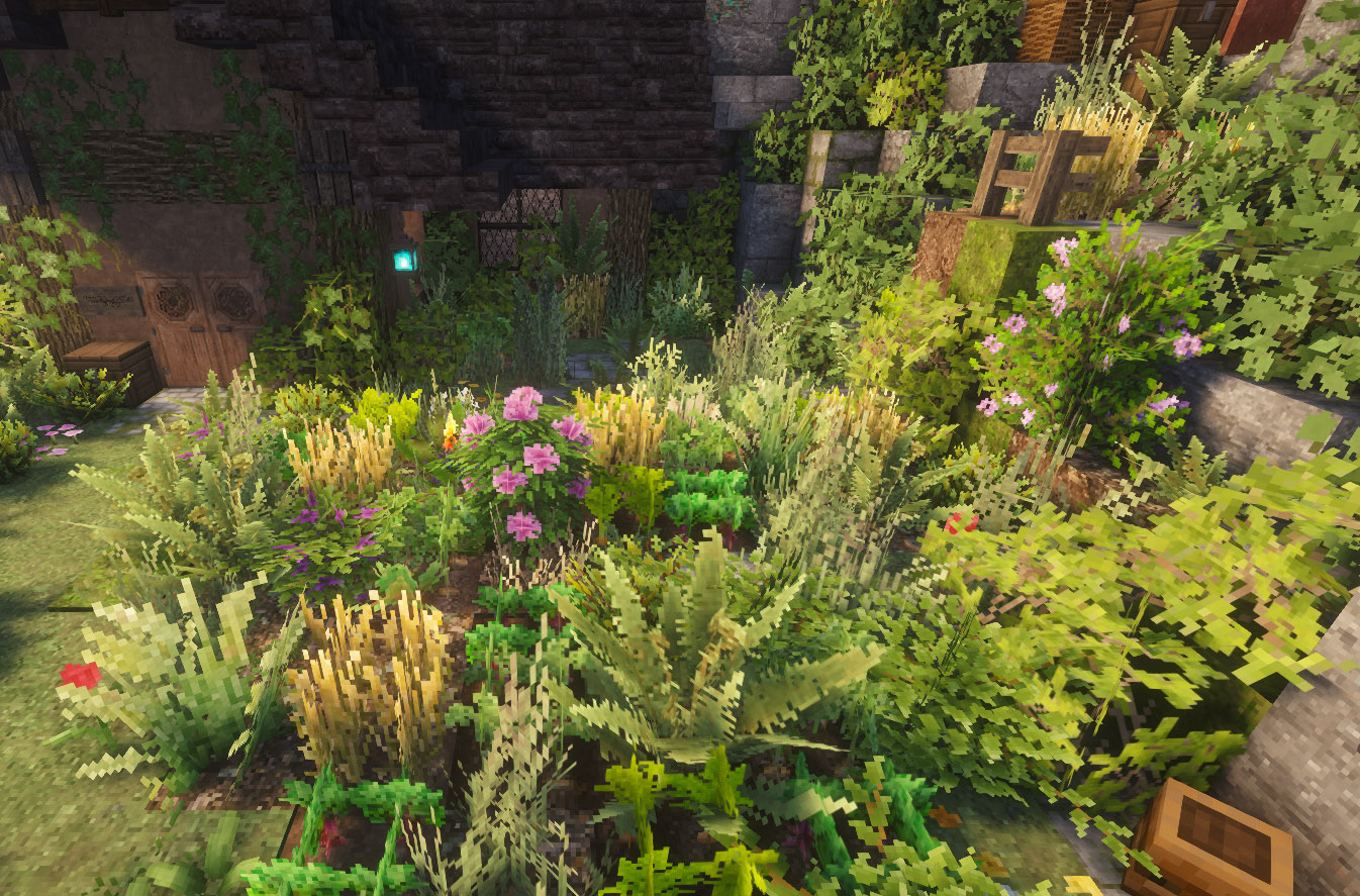 Betharyl's farm